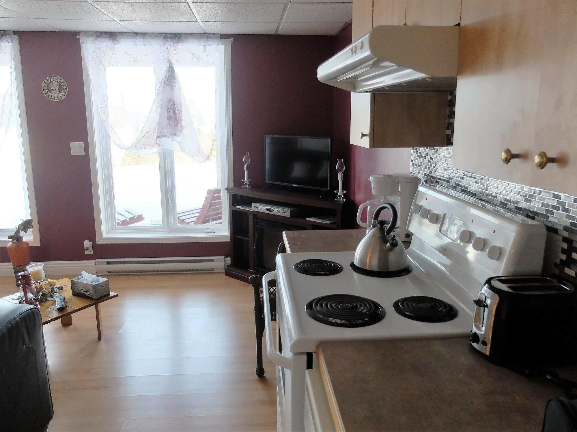 Panoramique Du Fjord Apartment L'Anse-Saint-Jean Exterior photo